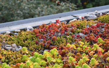 the cost of Greylake Fosse green roof installation