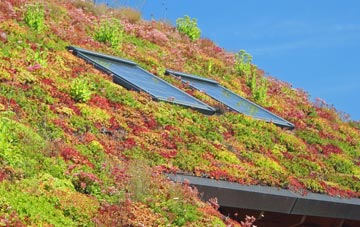 Greylake Fosse living roof systems