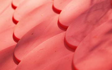 Greylake Fosse plastic roof costs