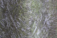 Greylake Fosse fibreglass roof work