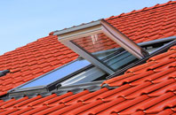 Greylake Fosse roof window